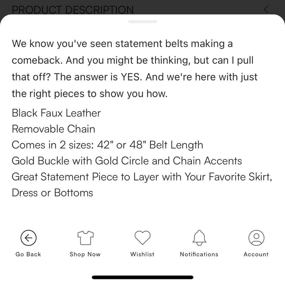 Pebby Forevee Black and Gold Chain Belt - Picture 4 of 4